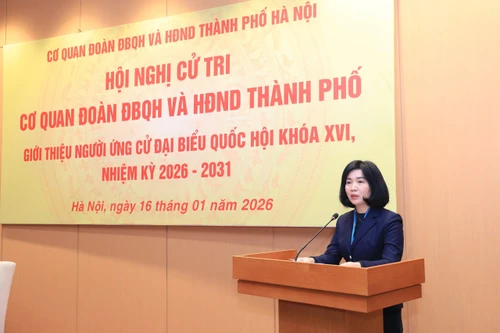 Chủ tịch HĐND TP Hà Nội Phùng Thị Hồng Hà được giới thiệu ứng cử đại biểu Quốc hội khóa XIV