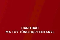 Ma túy tổng hợp Fentanyl gây tình trạng nghiện nặng và tử vong hàng loạt 
