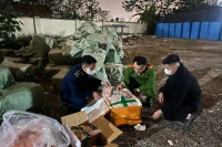 "Bắt sống' chiếc xe tải chứa hơn 10 tấn thực phẩm đông lạnh không rõ nguồn gốc