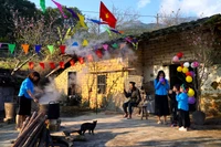 Cuộc thi ảnh, video "Tết hạnh phúc" khơi nguồn cảm xúc mùa xuân 