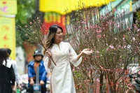 Chợ hoa Hàng Lược 2026 thu hút hơn 30.000 lượt khách 