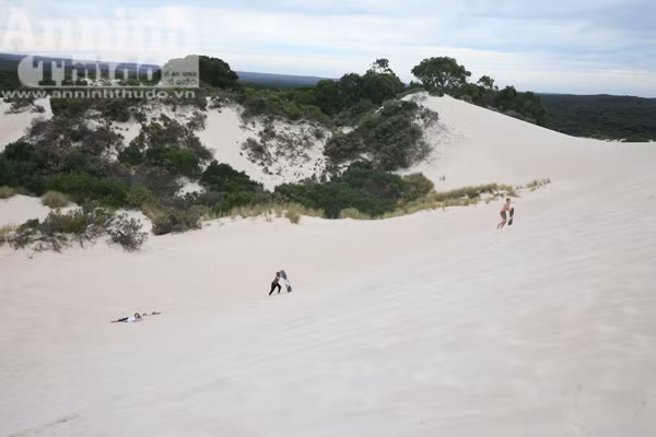 Bảy ngày vòng quanh Australia (4): Độc đáo đảo Kangaroo! ảnh 7