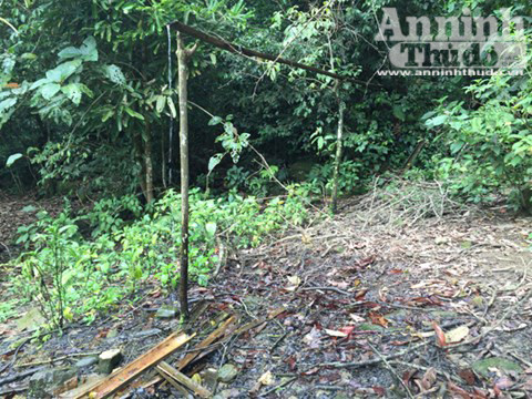 Căn nhà nơi xảy ra vụ thảm sát 4 người hoang phế lạnh người ảnh 15