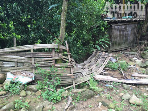 Căn nhà nơi xảy ra vụ thảm sát 4 người hoang phế lạnh người ảnh 20 Căn nhà nơi xảy ra vụ thảm sát 4 người hoang phế lạnh người ảnh 20