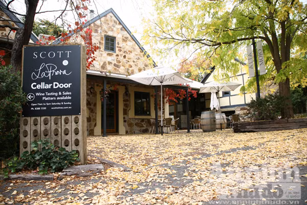 Bảy ngày vòng quanh Australia (5): Mùa thu vàng ở Adelaide Hills ảnh 9