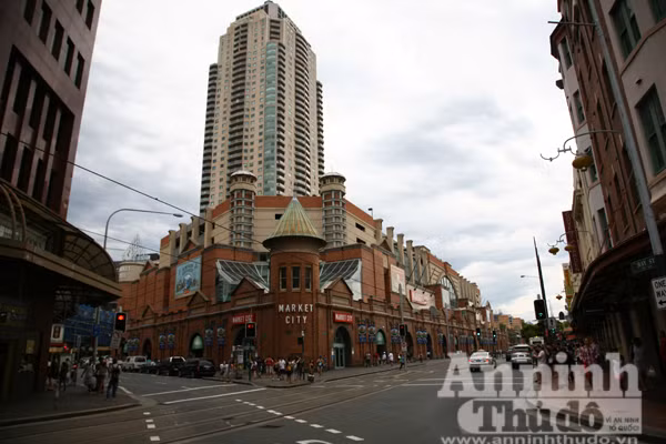 Bảy ngày vòng quanh Australia (6): Chớ bỏ lỡ khám phá Melbourne và Sydney ảnh 14