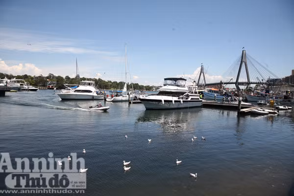 Bảy ngày vòng quanh Australia (6): Chớ bỏ lỡ khám phá Melbourne và Sydney ảnh 11