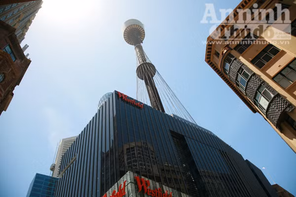 Bảy ngày vòng quanh Australia (6): Chớ bỏ lỡ khám phá Melbourne và Sydney ảnh 6