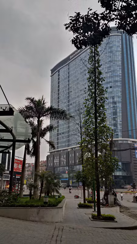 Thay thế đồng bộ cây xanh: “Tôi tin, Hà Nội làm đúng” ảnh 5