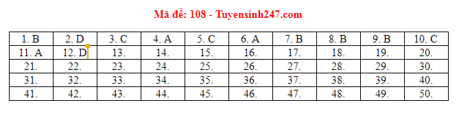 Đáp án tham khảo môn Toán trong Kỳ thi THPT Quốc gia 2019 [NÓNG] ảnh 7