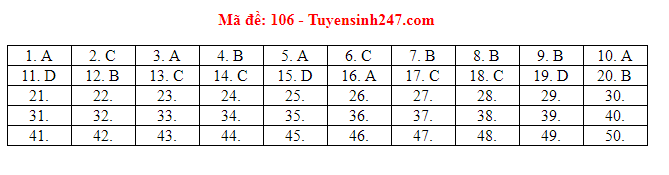 Đáp án tham khảo môn Toán trong Kỳ thi THPT Quốc gia 2019 [NÓNG] ảnh 6