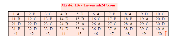 Đáp án tham khảo môn Toán trong Kỳ thi THPT Quốc gia 2019 [NÓNG] ảnh 8