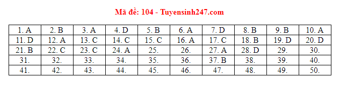 Đáp án tham khảo môn Toán trong Kỳ thi THPT Quốc gia 2019 [NÓNG] ảnh 4