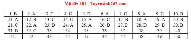 Đáp án tham khảo môn Toán trong Kỳ thi THPT Quốc gia 2019 [NÓNG] ảnh 2