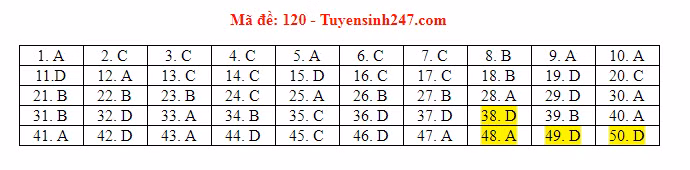 Đáp án tham khảo môn Toán trong Kỳ thi THPT Quốc gia 2019 [NÓNG] ảnh 9