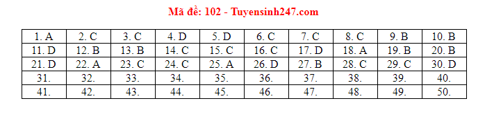 Đáp án tham khảo môn Toán trong Kỳ thi THPT Quốc gia 2019 [NÓNG] ảnh 3