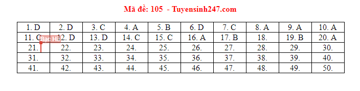 Đáp án tham khảo môn Toán trong Kỳ thi THPT Quốc gia 2019 [NÓNG] ảnh 5
