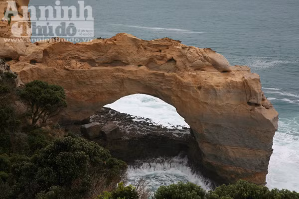 Bảy ngày vòng quanh Australia (2): Trải nghiệm Great Ocean Road, con đường đẹp nhất hành tinh ảnh 4