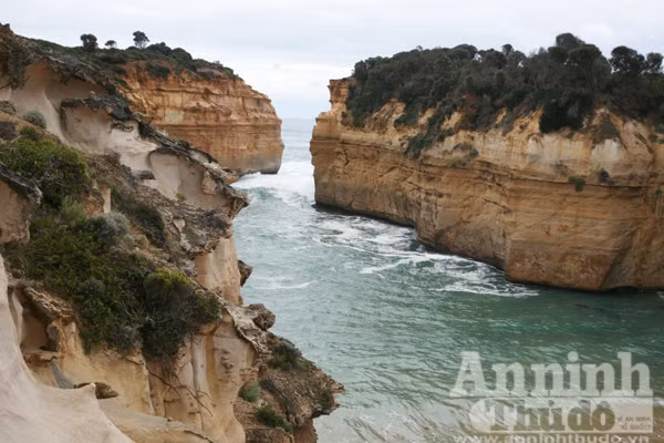 Bảy ngày vòng quanh Australia (2): Trải nghiệm Great Ocean Road, con đường đẹp nhất hành tinh ảnh 6