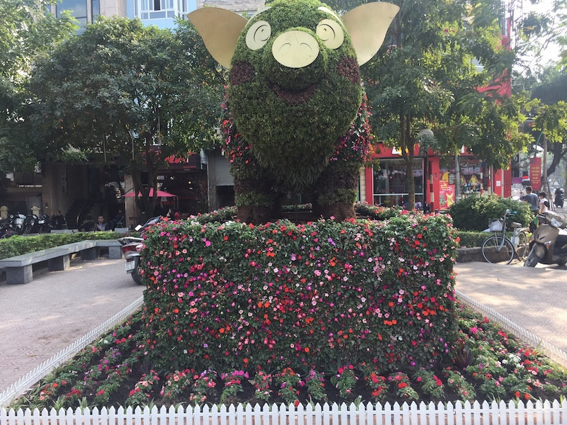 Người dân thích thú chụp ảnh với ‘chú heo vui vẻ’ làm bằng hoa lập thể khổng lồ ảnh 3 Người dân thích thú chụp ảnh với ‘chú heo vui vẻ’ làm bằng hoa lập thể khổng lồ ảnh 3