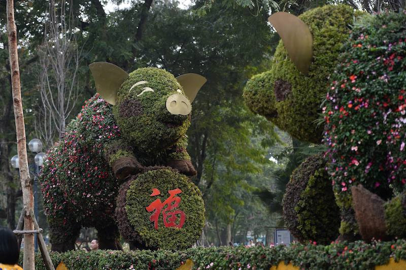 Người dân thích thú chụp ảnh với ‘chú heo vui vẻ’ làm bằng hoa lập thể khổng lồ ảnh 1 Người dân thích thú chụp ảnh với ‘chú heo vui vẻ’ làm bằng hoa lập thể khổng lồ ảnh 1