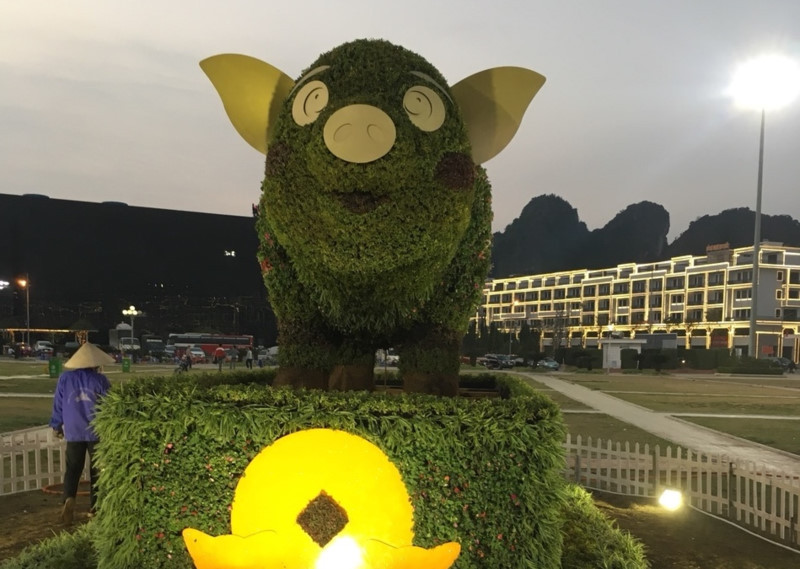 Người dân thích thú chụp ảnh với ‘chú heo vui vẻ’ làm bằng hoa lập thể khổng lồ ảnh 6 Người dân thích thú chụp ảnh với ‘chú heo vui vẻ’ làm bằng hoa lập thể khổng lồ ảnh 6