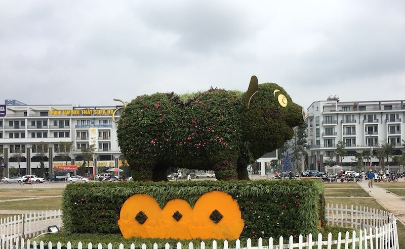 Người dân thích thú chụp ảnh với ‘chú heo vui vẻ’ làm bằng hoa lập thể khổng lồ ảnh 4 Người dân thích thú chụp ảnh với ‘chú heo vui vẻ’ làm bằng hoa lập thể khổng lồ ảnh 4