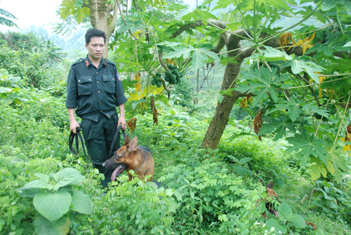 Hình ảnh từ hiện trường vụ sát hại 4 người trong một gia đình ở Yên Bái ảnh 10