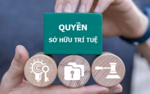 antdvn-so-huu-tri-tue.jpg