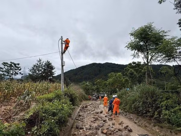 antdvn-dien-lu.jpg