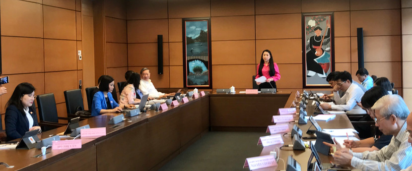 Đại biểu Hoàng Thị Thuý Lan (đoàn Vĩnh Phúc) phát biểu thảo luận