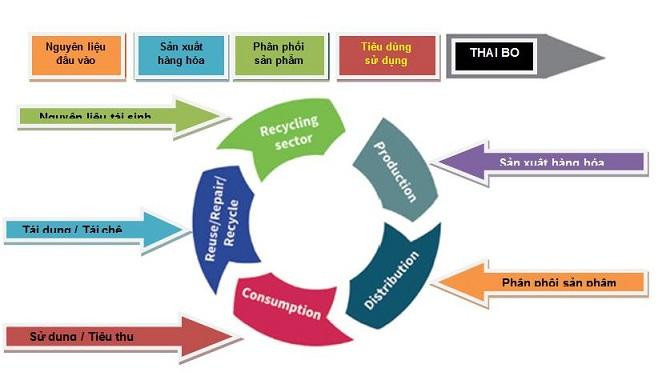 Kinh tế tuần hoàn giúp phát triển bền vững Kinh tế tuần hoàn giúp phát triển bền vững