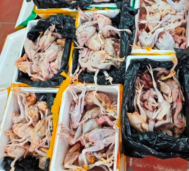 Thực phẩm không đảm bảo an toàn bị lực lượng chức năng phát hiện