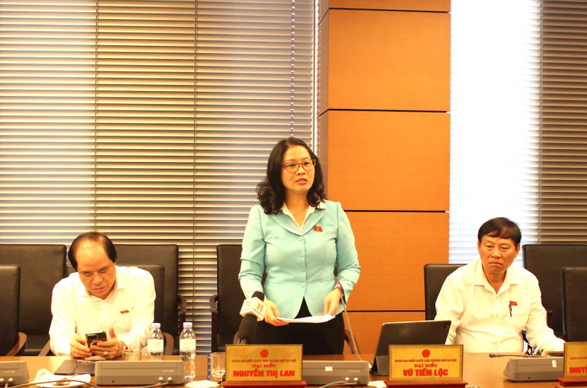 ĐBQH Nguyễn Thị Lan phát biểu thảo luận tổ ĐBQH Nguyễn Thị Lan phát biểu thảo luận tổ