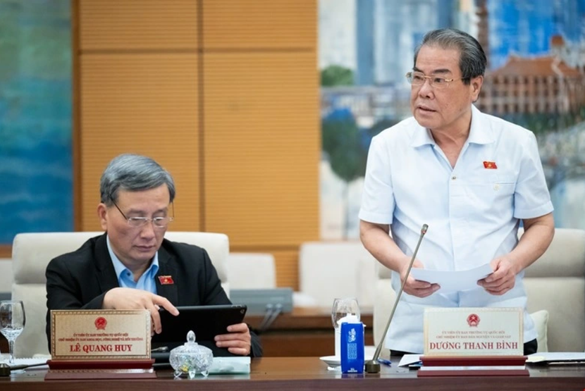 Ông Dương Thanh Bình trình bày báo cáo tại phiên họp