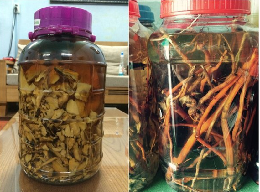 Tuyệt đối không sử dụng các loại động vật, thực vật lạ để ngâm rượu (Ảnh minh họa) Tuyệt đối không sử dụng các loại động vật, thực vật lạ để ngâm rượu (Ảnh minh họa)