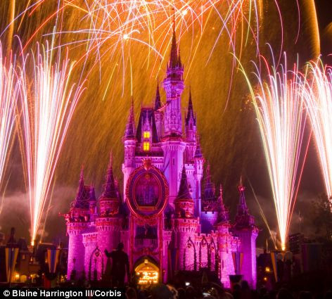 Pháp rao bán lâu đài của nàng Cinderella ảnh 2