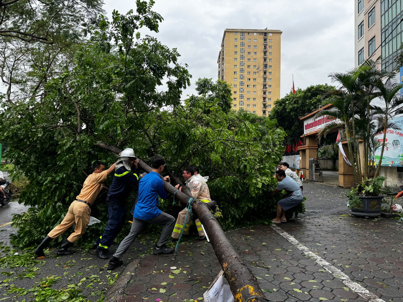 Lực lượng Công an cùng người dân xử lý cây đổ, đảm bảo an toàn giao thông cho các phương tiện đi lại