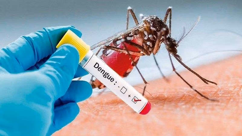 Hà Nội vẫn ghi nhận rải rác bệnh nhân sốt xuất huyết dù không phải mùa dịch