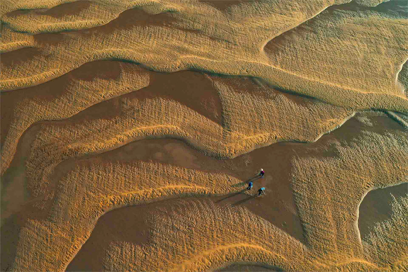 &quot;Sóng cát&quot; - Nguyễn Thị Thu Cúc đoạt HCB VAPA thể loại Ảnh du lịch