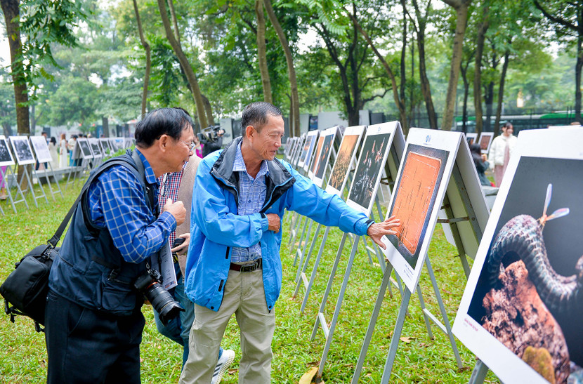 Góc trưng bày các tác phẩm xuất sắc tại cuộc thi