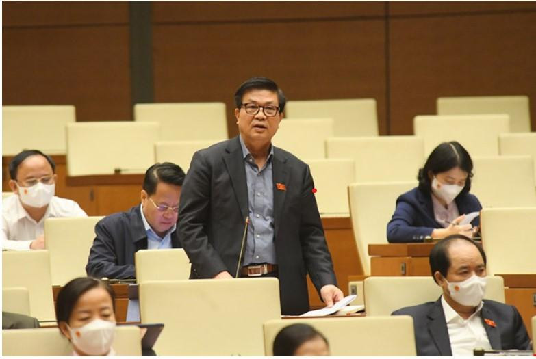 ĐBQH Đỗ Ngọc Thịnh phát biểu tại phiên thảo