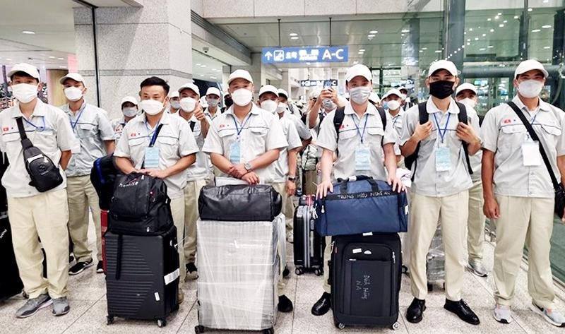 Xuất khẩu lao động cần thận trọng, tìm hiểu kỹ càng để tránh bị lừa đảo.