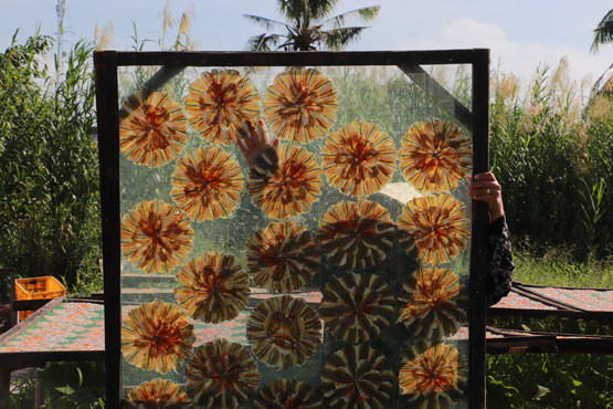 Giải Nhì chủ đề "Ô vuông" của tác giả Trình Phương Thảo. Giải Nhì chủ đề "Ô vuông" của tác giả Trình Phương Thảo.