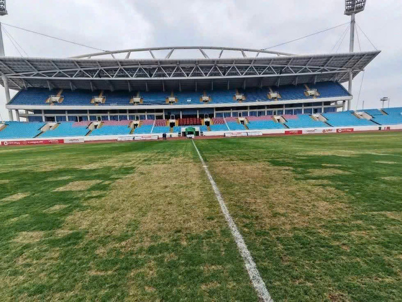 Mặt cỏ sân Mỹ Đình không đảm bảo tiêu chuẩn tổ chức các trận đấu chuyên nghiệp