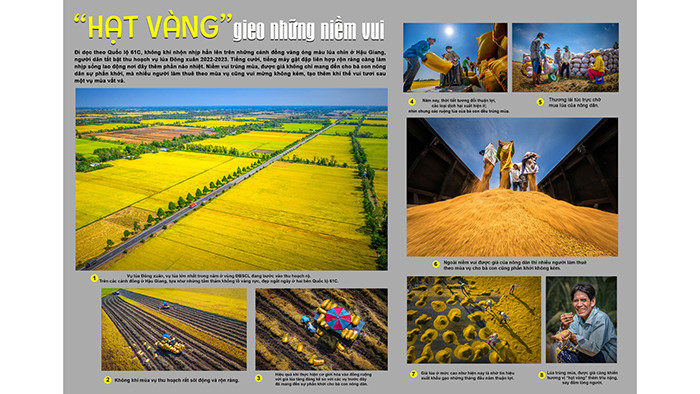 bộ ảnh "Hạt vàng gieo những niềm vui" của Nguyễn Hiền Thanh bộ ảnh "Hạt vàng gieo những niềm vui" của Nguyễn Hiền Thanh