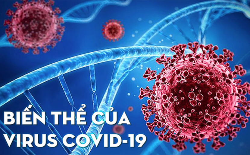 Khoảng 60% số mắc Covid-19 ở phía bắc hiện nay nhiễm biến thể BA.5 Khoảng 60% số mắc Covid-19 ở phía bắc hiện nay nhiễm biến thể BA.5