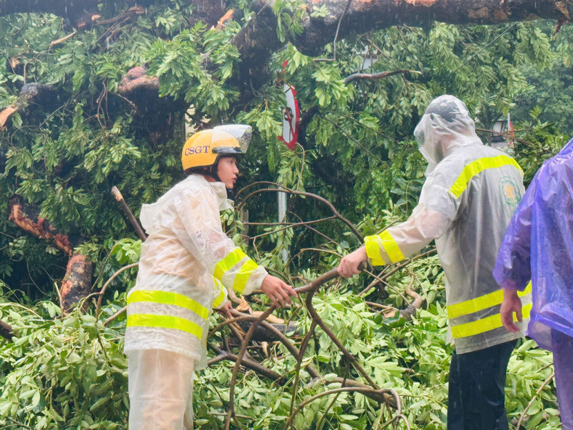 Cảnh sát giao thông có mặt cùng các lực lượng nhanh chóng dọn dẹp tại các điểm cây xanh đổ, để người dân di chuyển thuận lợi