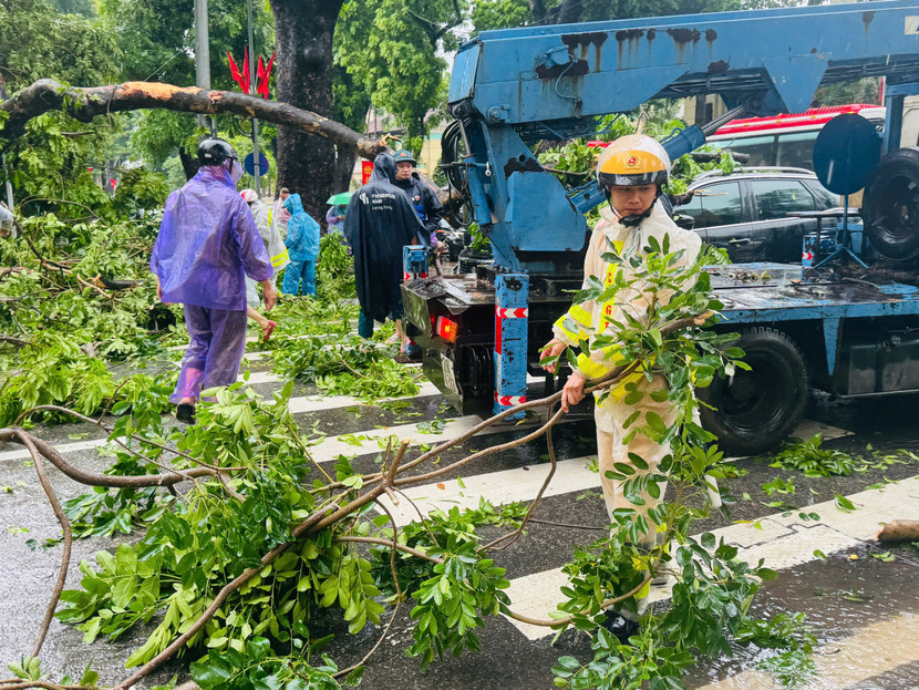 Tình trạng cây xanh đổ đã nhanh chóng được lực lượng Công an thu dọn