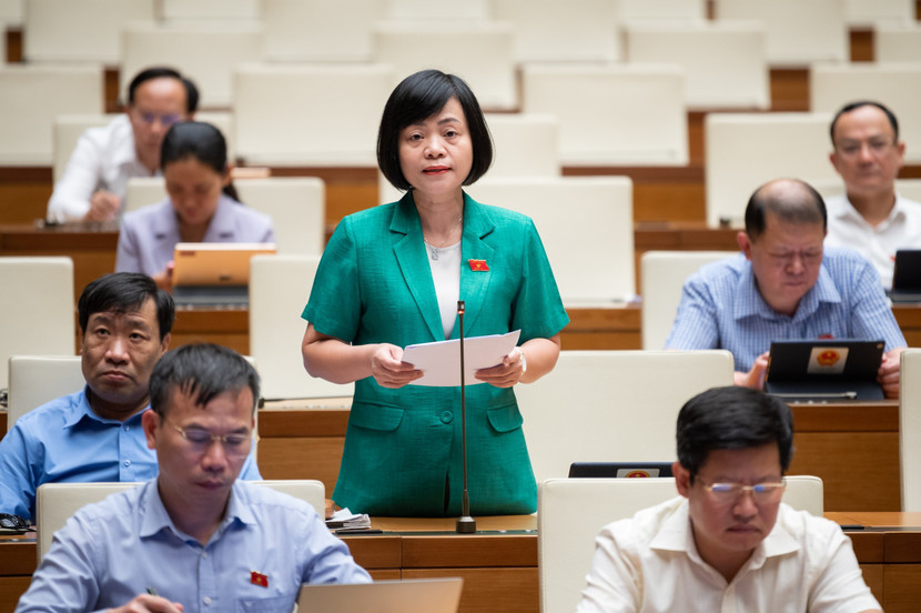 Đại biểu Nguyễn Thanh Cầm (đoàn Tiền Giang) phát biểu